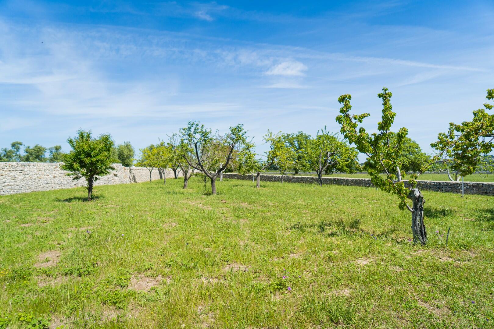 Ancient House for sale in Bari, Puglia