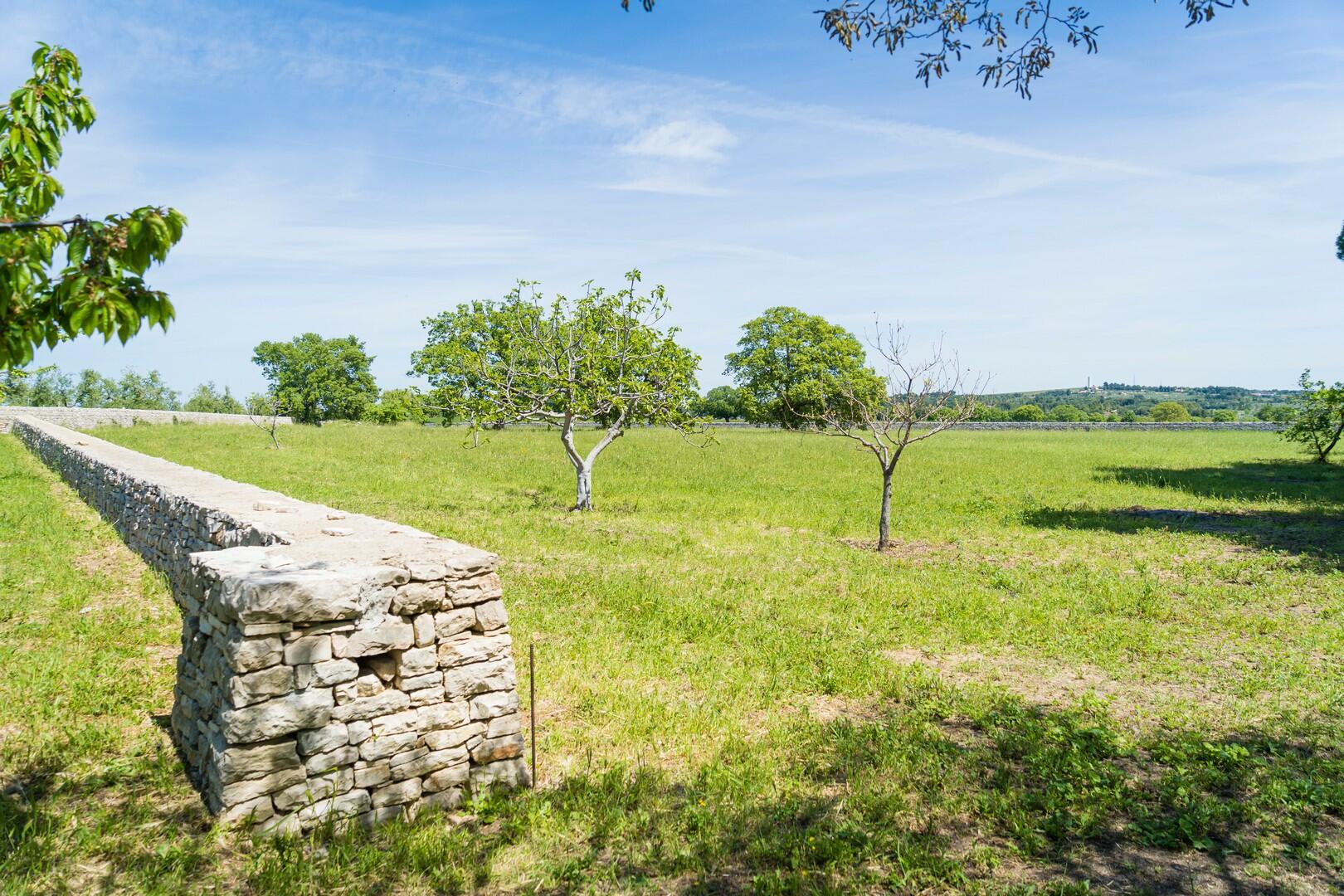 Ancient House for sale in Bari, Puglia