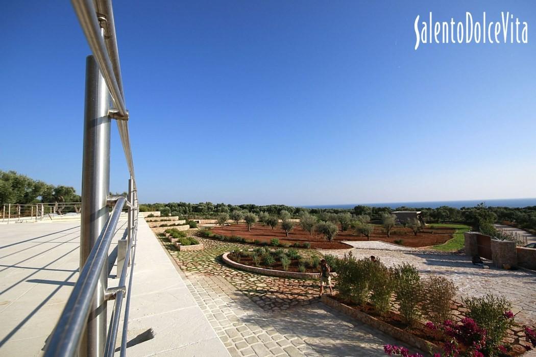 Roof terrace sea view