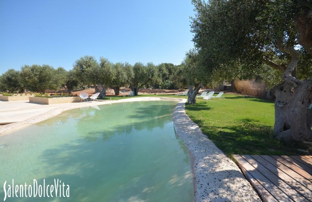 Swimming pool area garden